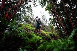 BIB: 
                            <button type="button" onclick="openModal(26204550)" class="btn btn-primary btn-sm float-right btn-popup" data-toggle="modal" data-target=".modal-high-quality">
                        <i class="fas fa-shopping-cart"></i> Add to Cart
                    </button>
                                            <button type="button" onclick="isThisMe(26204550, true)" class="btn btn-success btn-sm float-right btn-popup btn-isme hidden" data-toggle="tooltip" data-placement="bottom" title="นี่คือรูปของคุณใช่ไหม คลิกที่นี่เพื่อเอาเข้าอัลบั้ม">
                        <i class="fas fa-plus"></i> Add to album
                    </button>
                    <button type="button" onclick="isThisMe(26204550, false)" class="btn btn-warning btn-sm float-right btn-popup btn-isnotme hidden">
                        <i class="fas fa-ban"></i> Remove from album
                    </button>